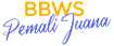 Balai Besar Wilayah Sungai Pemali Juana